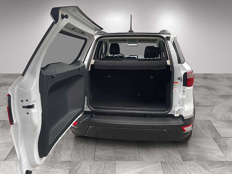 Ford EcoSport Active